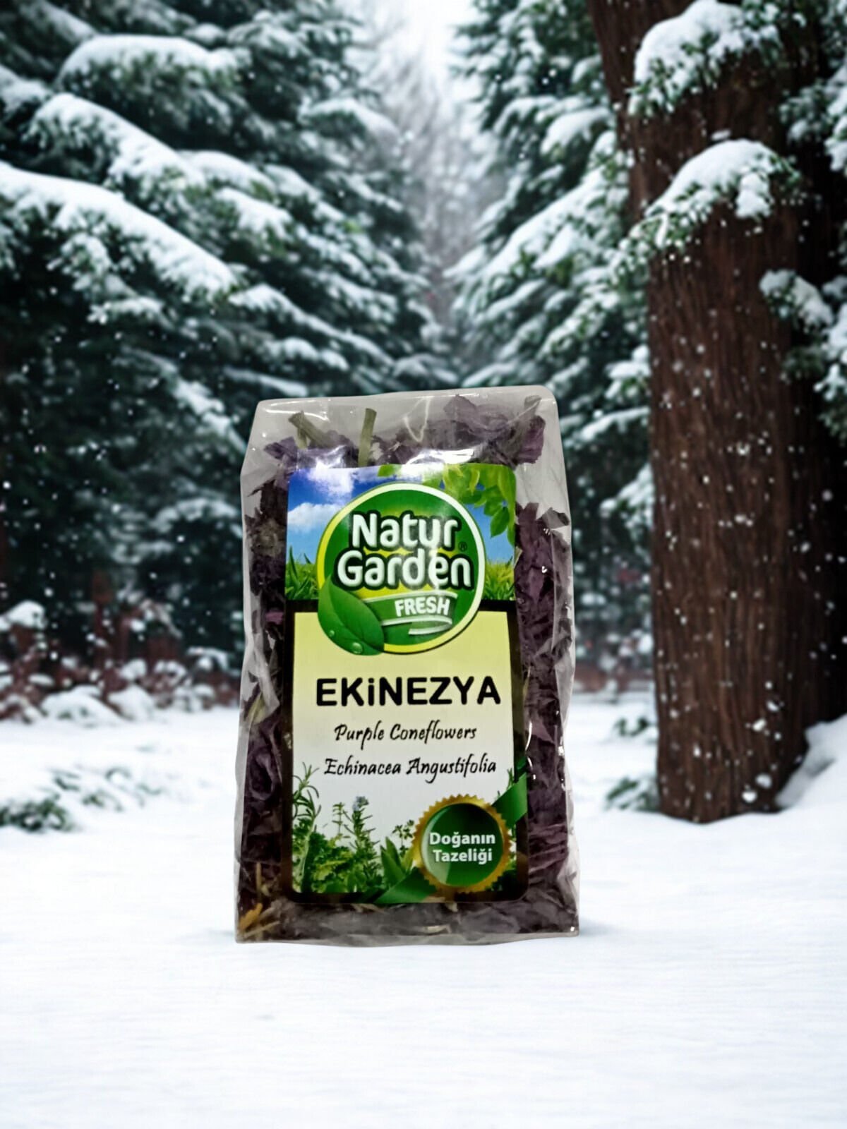 Ekinezya