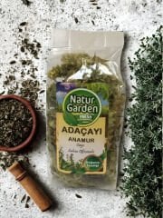 Adaçayı