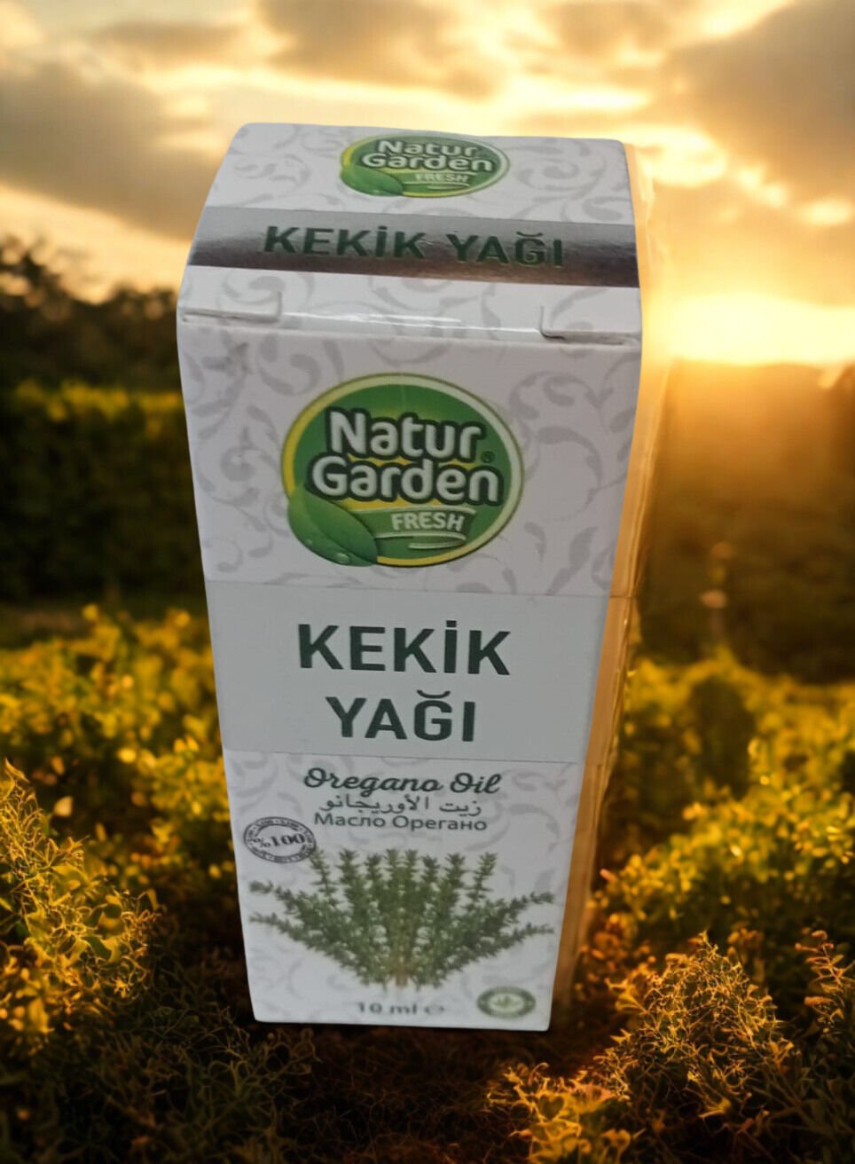 Kekik Yağı